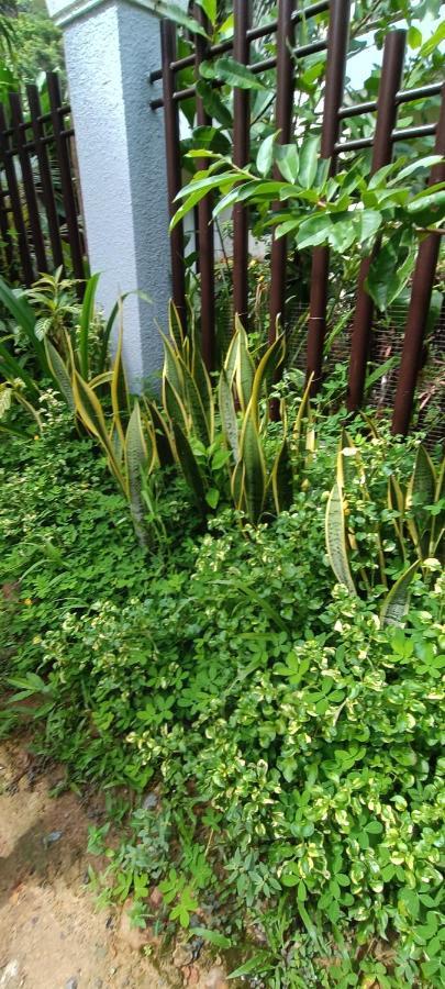 إل نيدو Layang Layang Home المظهر الخارجي الصورة